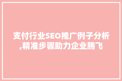 支付行业SEO推广例子分析,精准步骤助力企业腾飞
