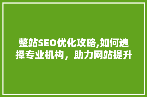 整站SEO优化攻略,如何选择专业机构，助力网站提升排名