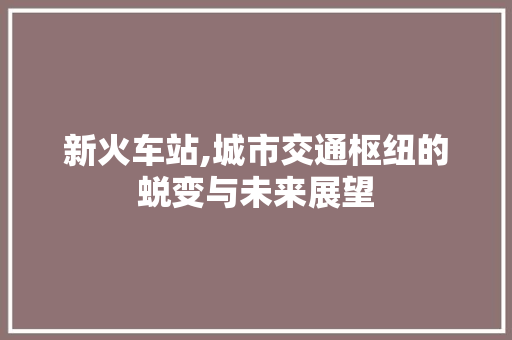 新火车站,城市交通枢纽的蜕变与未来展望