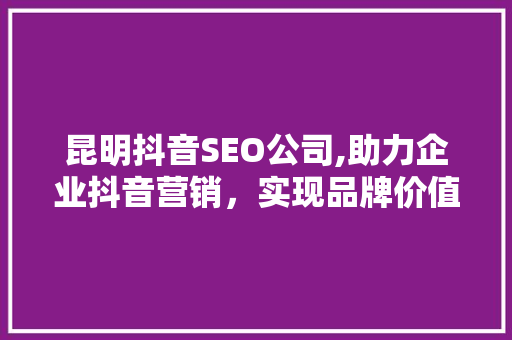 昆明抖音SEO公司,助力企业抖音营销，实现品牌价值飞跃