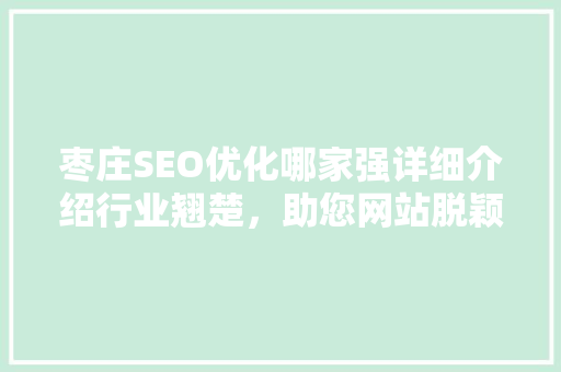 枣庄SEO优化哪家强详细介绍行业翘楚，助您网站脱颖而出