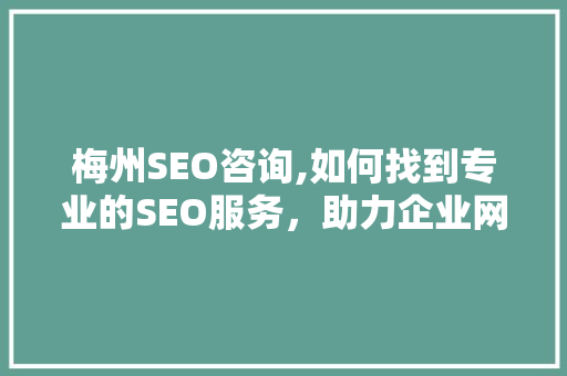 梅州SEO咨询,如何找到专业的SEO服务，助力企业网站优化