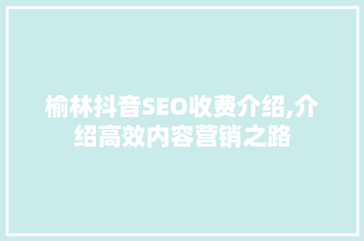榆林抖音SEO收费介绍,介绍高效内容营销之路