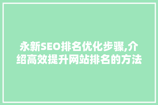 永新SEO排名优化步骤,介绍高效提升网站排名的方法