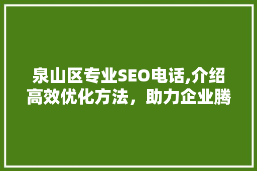 泉山区专业SEO电话,介绍高效优化方法，助力企业腾飞