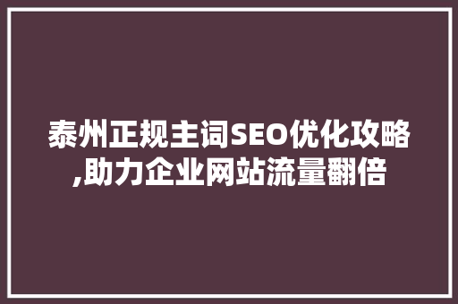 泰州正规主词SEO优化攻略,助力企业网站流量翻倍