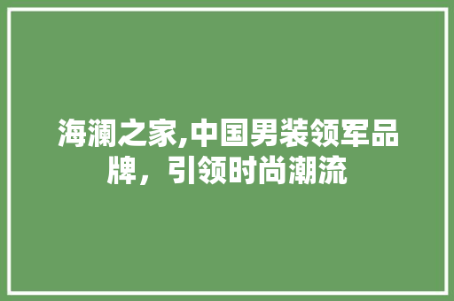 海澜之家,中国男装领军品牌，引领时尚潮流