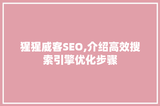 猩猩威客SEO,介绍高效搜索引擎优化步骤  第1张