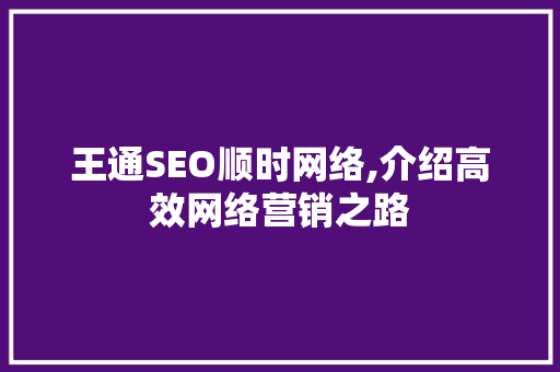 王通SEO顺时网络,介绍高效网络营销之路