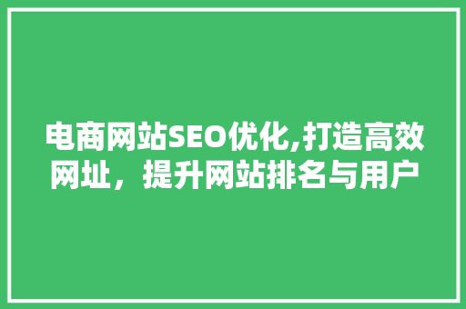 电商网站SEO优化,打造高效网址，提升网站排名与用户体验