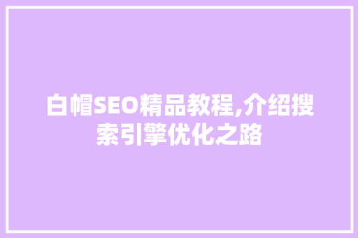 白帽SEO精品教程,介绍搜索引擎优化之路