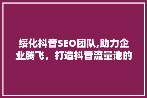 绥化抖音SEO团队,助力企业腾飞，打造抖音流量池的方法介绍