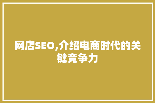 网店SEO,介绍电商时代的关键竞争力