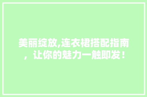 美丽绽放,连衣裙搭配指南，让你的魅力一触即发！