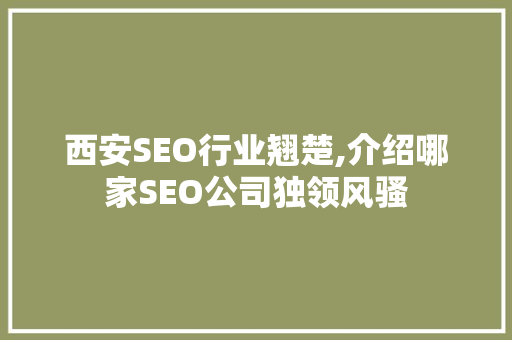 西安SEO行业翘楚,介绍哪家SEO公司独领风骚
