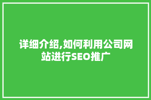 详细介绍,如何利用公司网站进行SEO推广