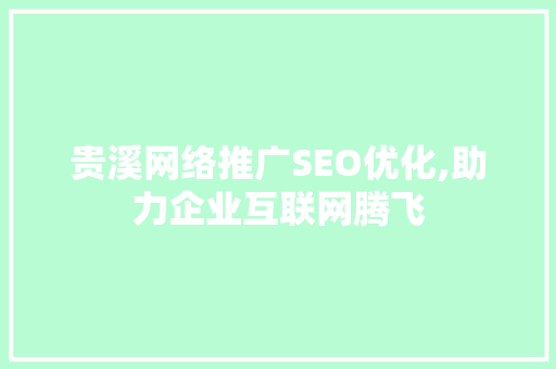 贵溪网络推广SEO优化,助力企业互联网腾飞