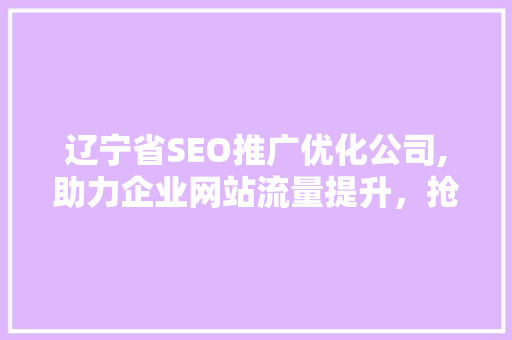 辽宁省SEO推广优化公司,助力企业网站流量提升，抢占市场先机