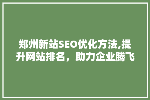 郑州新站SEO优化方法,提升网站排名，助力企业腾飞