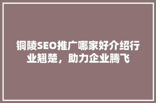 铜陵SEO推广哪家好介绍行业翘楚，助力企业腾飞