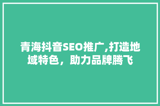 青海抖音SEO推广,打造地域特色，助力品牌腾飞