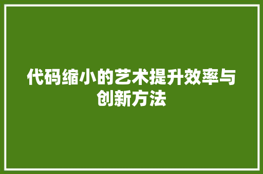 代码缩小的艺术提升效率与创新方法