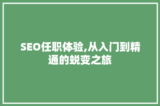 SEO任职体验,从入门到精通的蜕变之旅