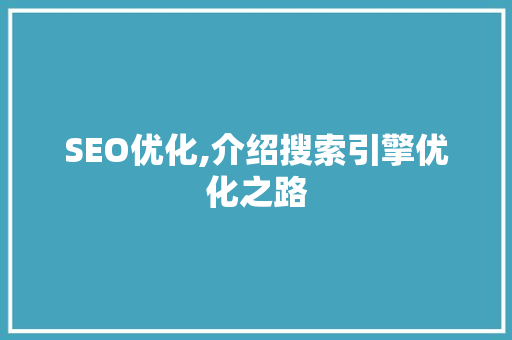 SEO优化,介绍搜索引擎优化之路