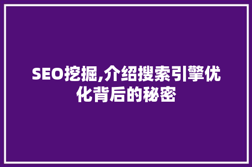 SEO挖掘,介绍搜索引擎优化背后的秘密