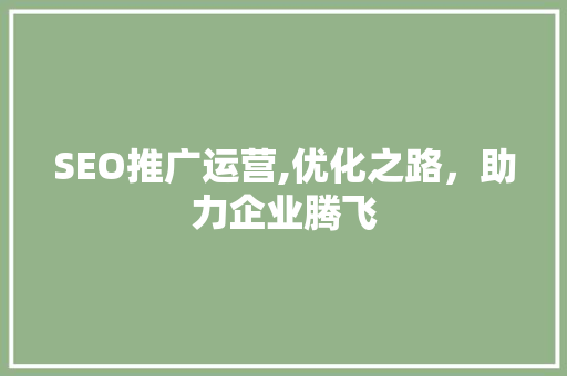 SEO推广运营,优化之路，助力企业腾飞  第1张