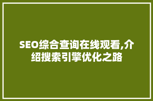 SEO综合查询在线观看,介绍搜索引擎优化之路  第1张
