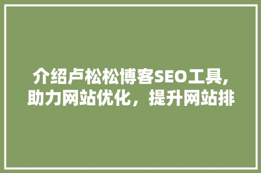 介绍卢松松博客SEO工具,助力网站优化，提升网站排名