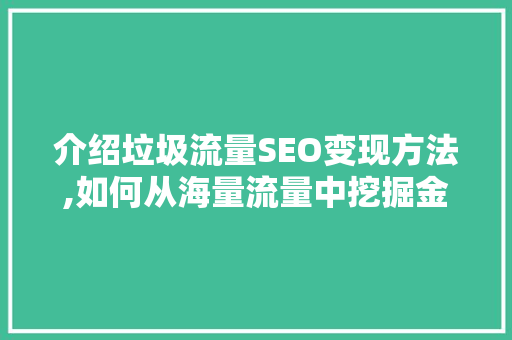 介绍垃圾流量SEO变现方法,如何从海量流量中挖掘金矿