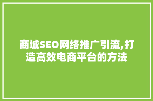 商城SEO网络推广引流,打造高效电商平台的方法