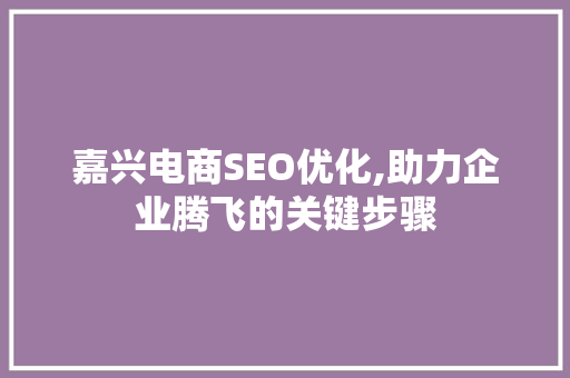 嘉兴电商SEO优化,助力企业腾飞的关键步骤