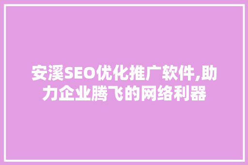 安溪SEO优化推广软件,助力企业腾飞的网络利器