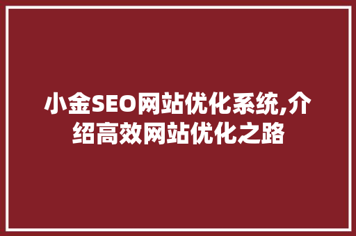 小金SEO网站优化系统,介绍高效网站优化之路