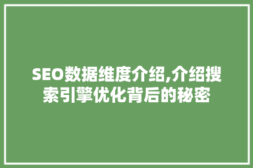 SEO数据维度介绍,介绍搜索引擎优化背后的秘密