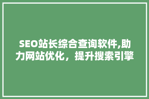 SEO站长综合查询软件,助力网站优化，提升搜索引擎排名