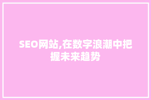 SEO网站,在数字浪潮中把握未来趋势