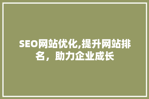SEO网站优化,提升网站排名，助力企业成长