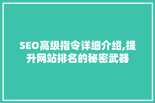 SEO高级指令详细介绍,提升网站排名的秘密武器