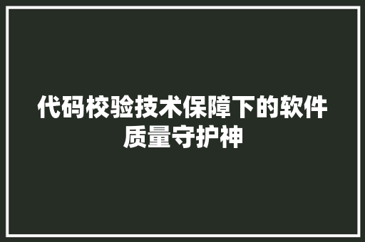 代码校验技术保障下的软件质量守护神