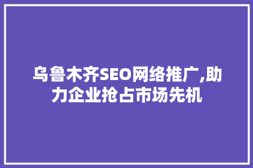 乌鲁木齐SEO网络推广,助力企业抢占市场先机