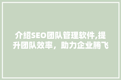 介绍SEO团队管理软件,提升团队效率，助力企业腾飞