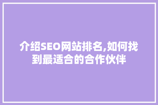 介绍SEO网站排名,如何找到最适合的合作伙伴