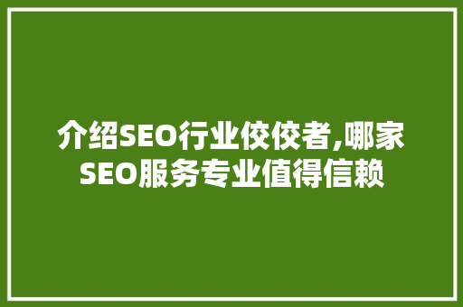 介绍SEO行业佼佼者,哪家SEO服务专业值得信赖