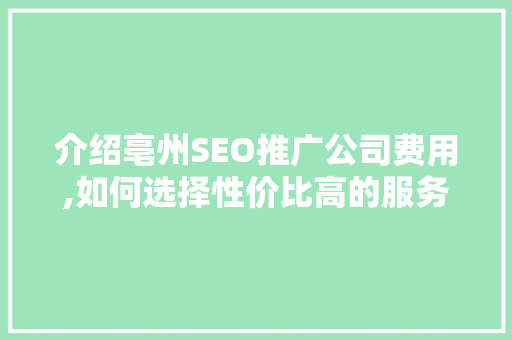 介绍亳州SEO推广公司费用,如何选择性价比高的服务