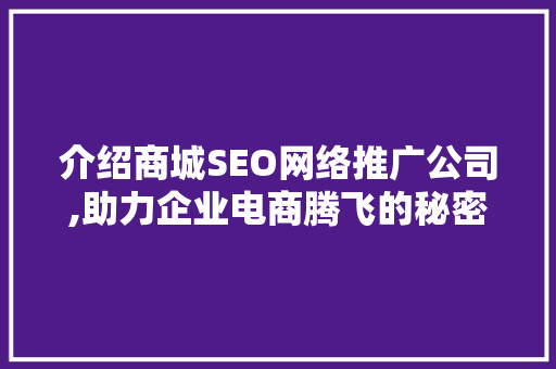 介绍商城SEO网络推广公司,助力企业电商腾飞的秘密武器
