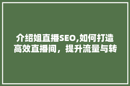 介绍姐直播SEO,如何打造高效直播间，提升流量与转化率